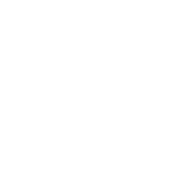 Ticket icon for small button (thicker line)_white